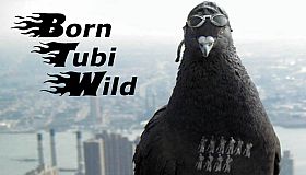 Born Tubi Wild