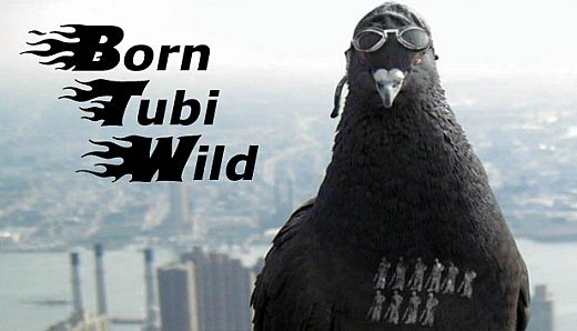 Born Tubi Wild