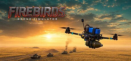 FireBirds: Drone Simulator