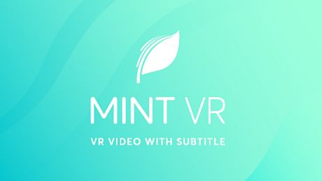 MINT VR Game