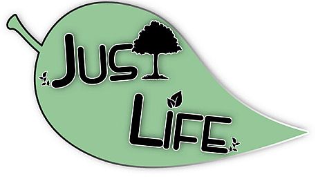 Just Life: A New Farmer's Story Game