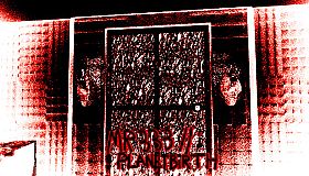 MR 333 II: Planetbirth