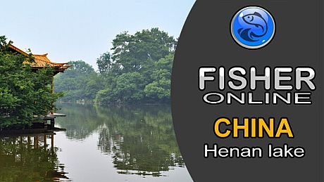 Fisher Online - China DLC DLC