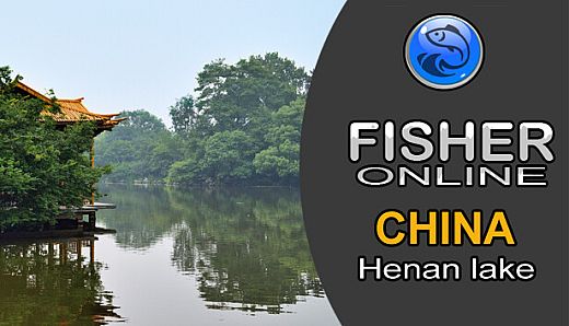 Fisher Online - China DLC