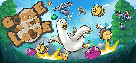 Goose On The Loose Game