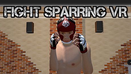 Fight Sparring VR Game