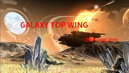 GALAXY TOP WING