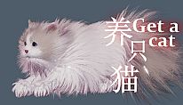 Kup Get a cat na PC