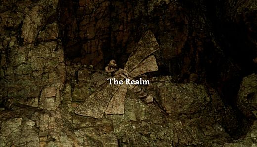 The Realm