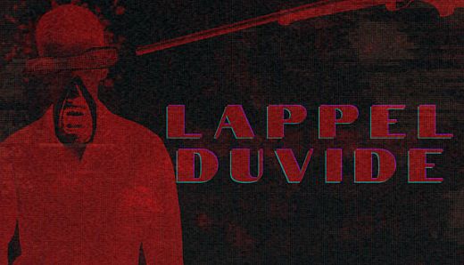 Lappelduvide