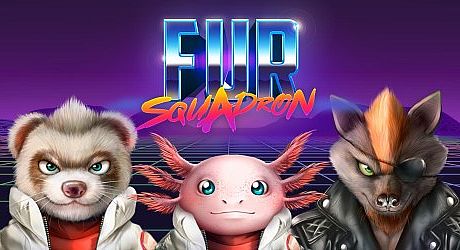 FUR Squadron Game