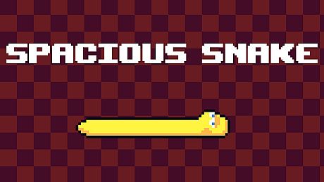 Spacious Snake Game