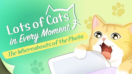 Lots of Cats in Every Moment: The Whereabouts of the Photo DLC