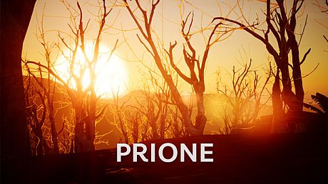 PriOne Game