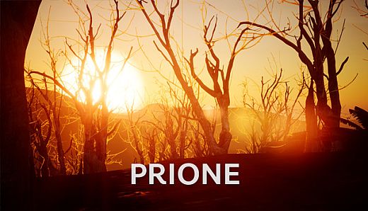 PriOne