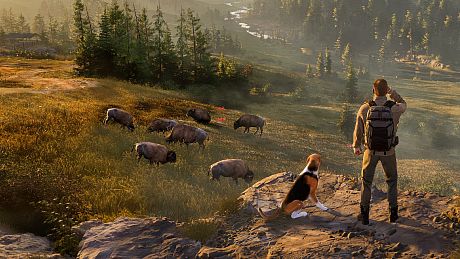 Way of the Hunter 2 Game