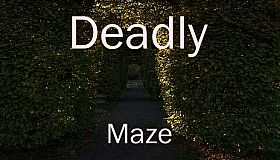 Deadly Maze