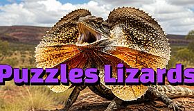 Puzzles Lizards
