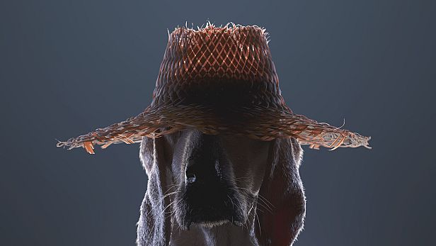 Buy Kentucky Route Zero: TV Edition