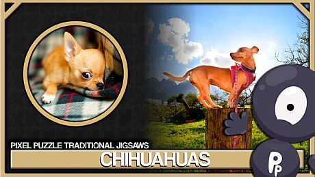 Pixel Puzzles Traditional Jigsaws Pack: Chihuahuas DLC