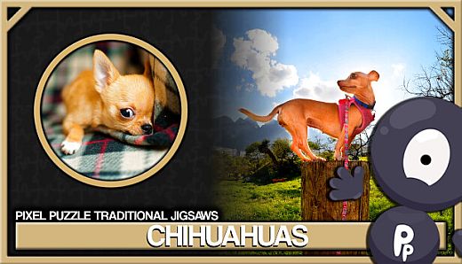 Pixel Puzzles Traditional Jigsaws Pack: Chihuahuas