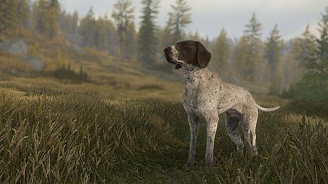 theHunter: Call of the Wild - German Shorthaired Pointer Bundle