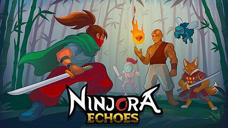Ninjora Echoes Game