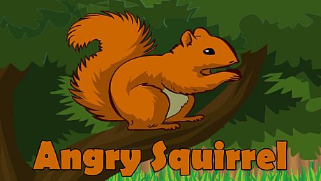 Angry Squirrel Game