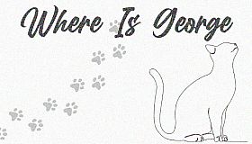 Where Is George