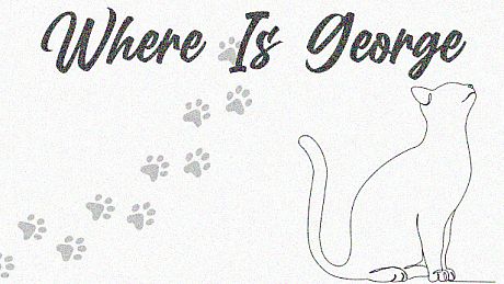 Where Is George Game