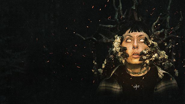 Buy Heart of the Forest