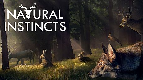 Natural Instincts: European Forest Game