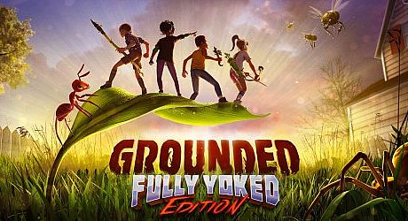 Grounded Game