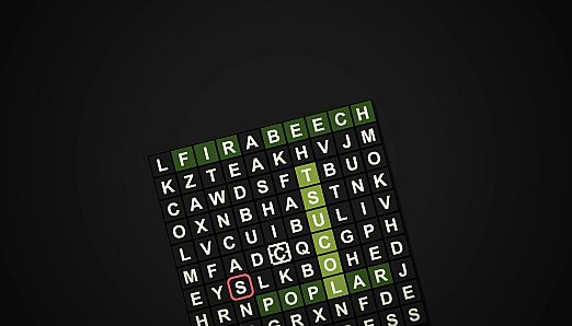 1-2-Fantastic Word Search!