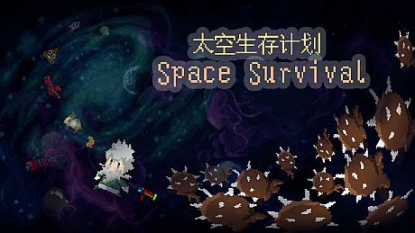 Space Survival Game