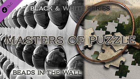 Masters of Puzzle - Black and White - Beads in the Wall DLC