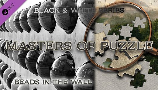 Masters of Puzzle - Black and White - Beads in the Wall