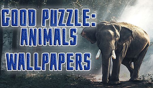 Good puzzle: Animals - Wallpapers