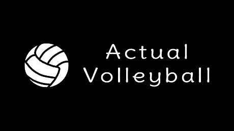 Actual Volleyball Game