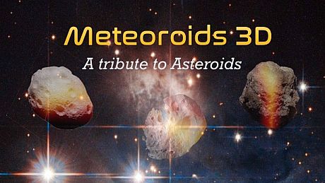 Meteoroids 3D Game