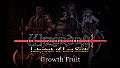 Wizardry: Labyrinth of Lost Souls - Growth Fruit