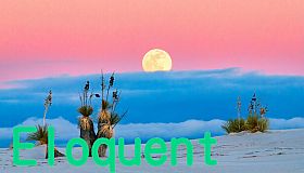 Eloquent