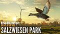 theHunter: Call of the Wild - Salzwiesen Park