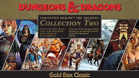 Forgotten Realms: The Archives - Collection Two Game