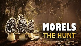 Morels: The Hunt