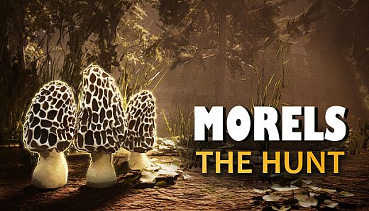 Morels: The Hunt