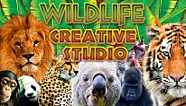 Acheter Wildlife Creative Studio PC