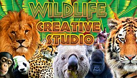 Wildlife Creative Studio