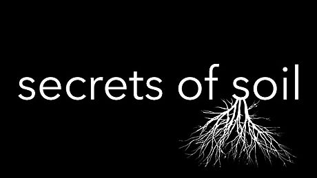 Secrets Of Soil Game
