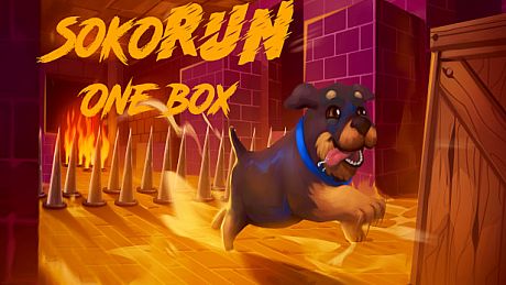 Sokorun: One Box Game
